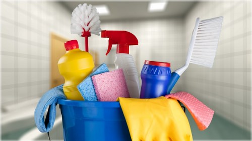 Professional carpet steam cleaning in Greenwich home interior