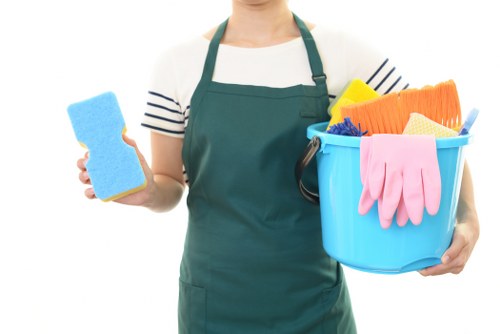 Cleaning service terms and conditions introduction with booking details