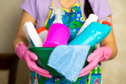 Professional oven cleaning service for a Greenwich kitchen