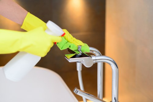 Recycling separation and packaging sorting for Greenwich cleaning services