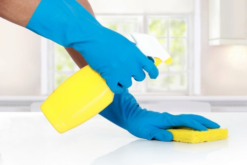 Local house cleaning service in Greenwich for apartments and family homes