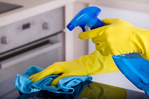 Professional sofa cleaning in a Greenwich living room