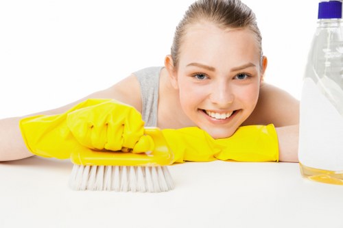 Local sofa cleaning appointment in Greenwich home