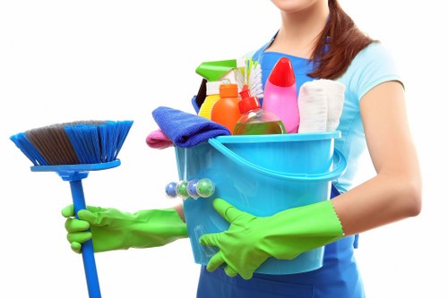 Upholstery cleaning process for a living room sofa in Greenwich