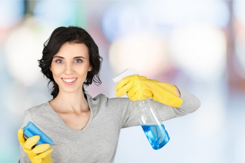 Shopfront window cleaning for a Greenwich business