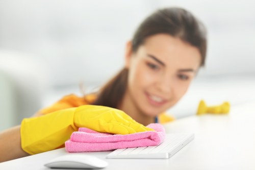 Regular home cleaning tasks in a Greenwich apartment