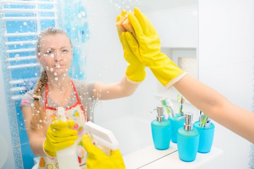 Liability, waste handling, and governing law provisions for cleaners