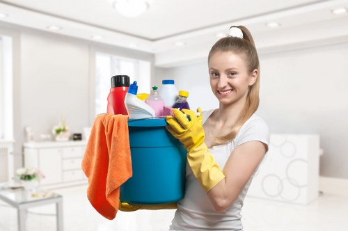 Kitchen and bathroom detail cleaning in Greenwich