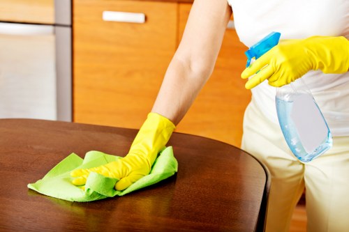 Domestic cleaner working in a Greenwich home with attention to detail